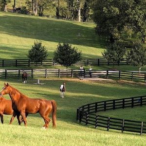 Meet your Posher, Kirk